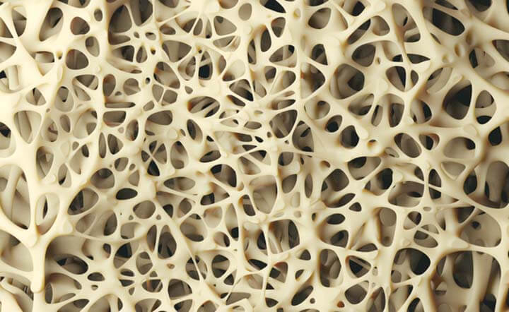 Realistic bone spongy structure close-up, healthy texture of bone, 3d illustration