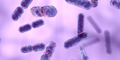 Bacteroides Bakterien, 3D illustration