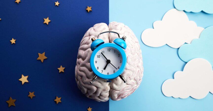 Die circadianen Rhythmen werden durch circadiane Uhren oder biologische Uhren gesteuert.