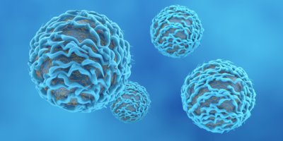 CAR-T-Zellen könnten bei Kleinkindern mit B-ALL eine Option sein.