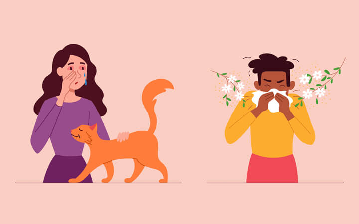 Illustration Frau und Mann mit Katzen- und Pollenallergie