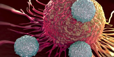 T-Zellen greifen Krebszellen an Illustration von mikroskopischen Fotos