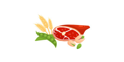 Lebensmittelzutaten – frisches Fleisch, Weizen, Pistazien und grüne Bohnen – flache vektorillustration lokalisiert auf weiß.