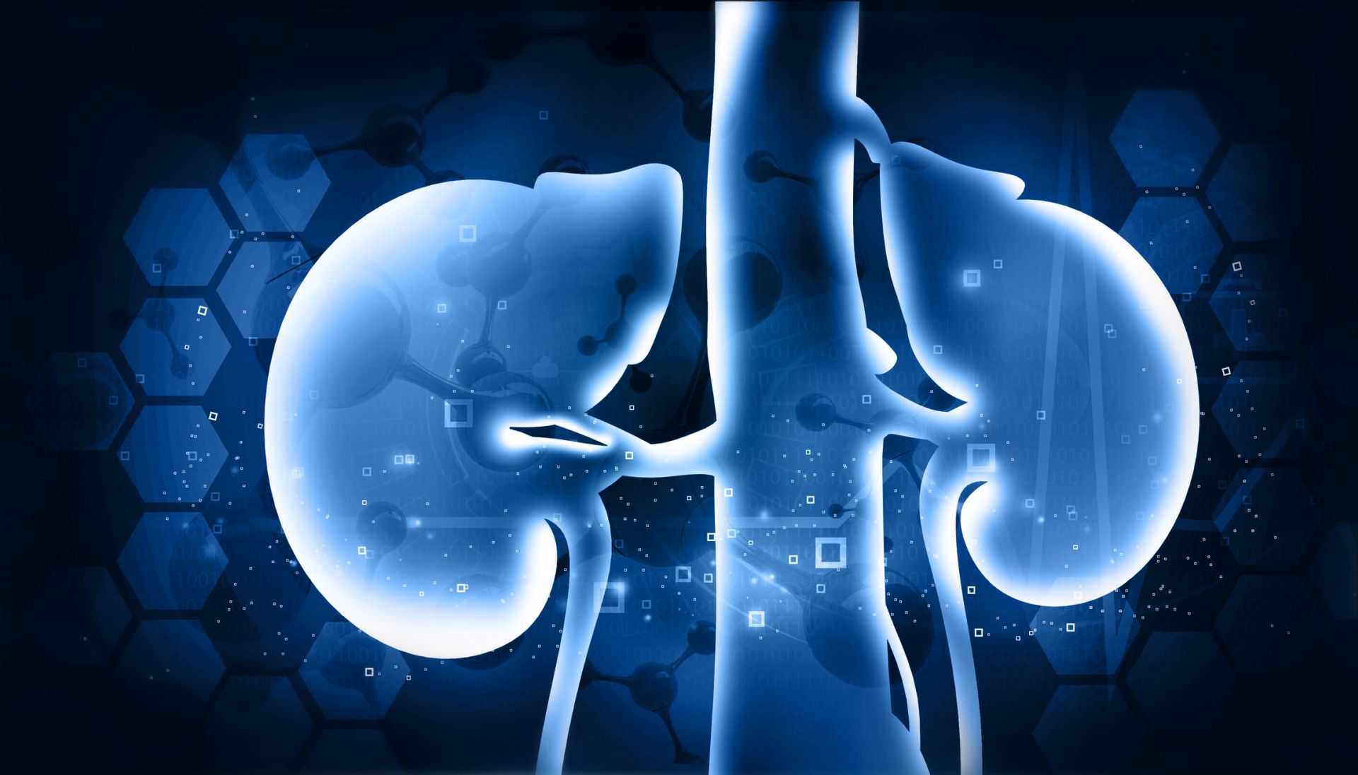 Wirkung der renalen Denervierung nimmt mit der Zeit zu