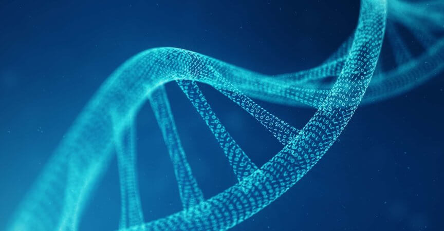 Künstliches Intelligenz-DNA-Molekül. DNA wird in einen binären Code umgewandelt. Konzept Binärcode-Genom. Abstrakte Technologiewissenschaft, Konzept künstliche DNA. 3D-Darstellung
