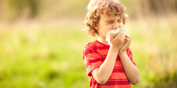 Kleiner Junge in Natur niest in ein Taschentuch