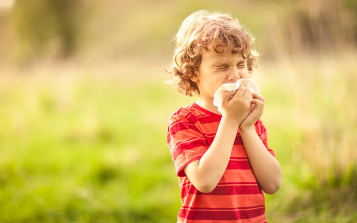 Kleiner Junge in Natur niest in ein Taschentuch