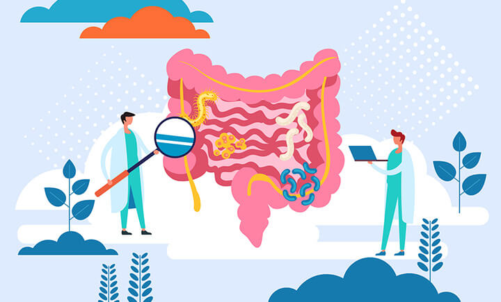 Themenbild Magen & Darm: Illustration eines grossen Darms, der von zwei kleinen Ärzten mit Lupe untersucht wird