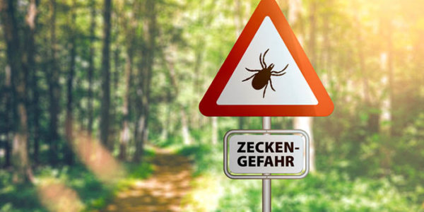 Nahaufnahme des Warnschildes mit Text ZECKEN GEFAHR, Deutsch für Vorsicht vor Zecken, vor defokussiertem Waldhintergrund