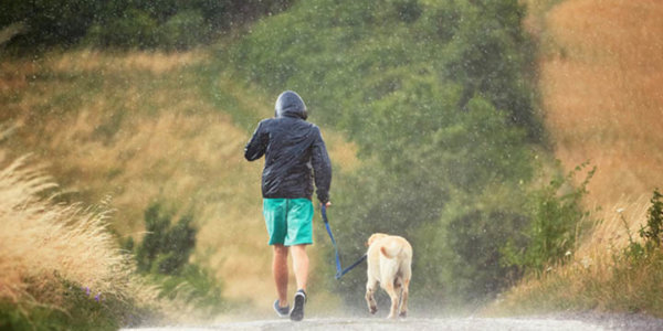 Junger Mann läuft mit seinem Hund (Labrador Retriever) bei starkem Regen auf der Landstraße.