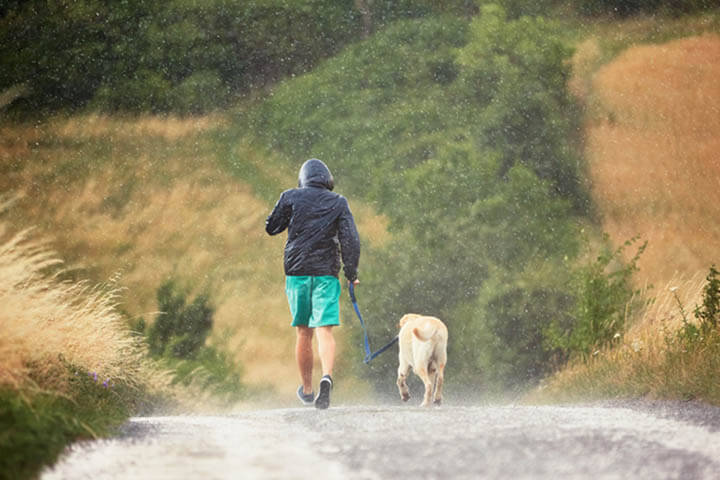 Junger Mann läuft mit seinem Hund (Labrador Retriever) bei starkem Regen auf der Landstraße.