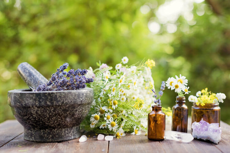 Homöopathische und Kräutermedizin auf einem Tisch im Garten.