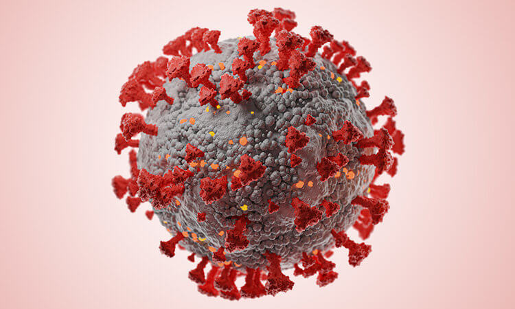 3D-Illustration des Coronavirus SARS-CoV-2