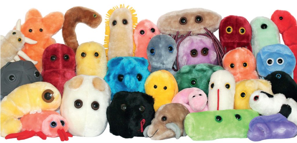 Foto: GIANTmicrobes Inc