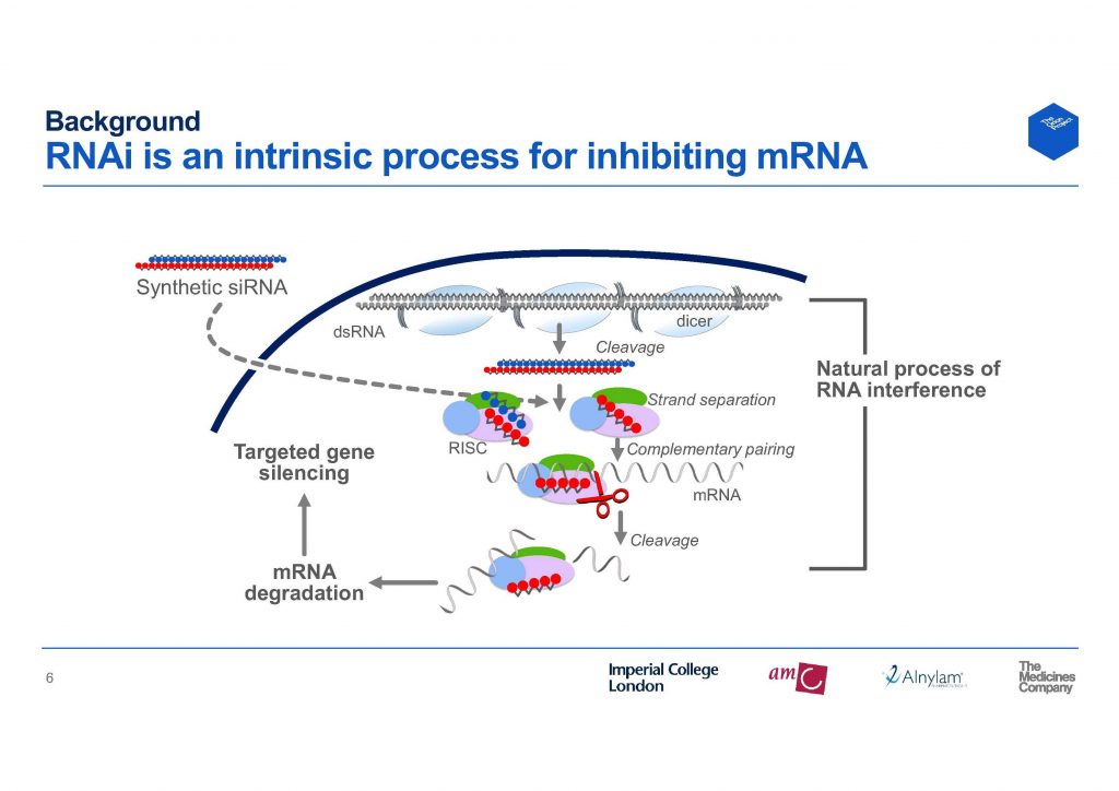 Wirkmechanismus einer small interfering RNA