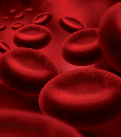 Serie Gerinnungsstörungen III Angeborene Koagulopathien