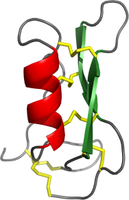 Quelle: Essig A et al. JBC 2014 Die dreidimensionale Struktur zeigt die kompakte Form des Proteins Copsin.